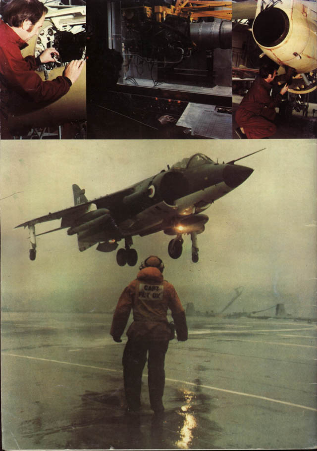 {short description of image}